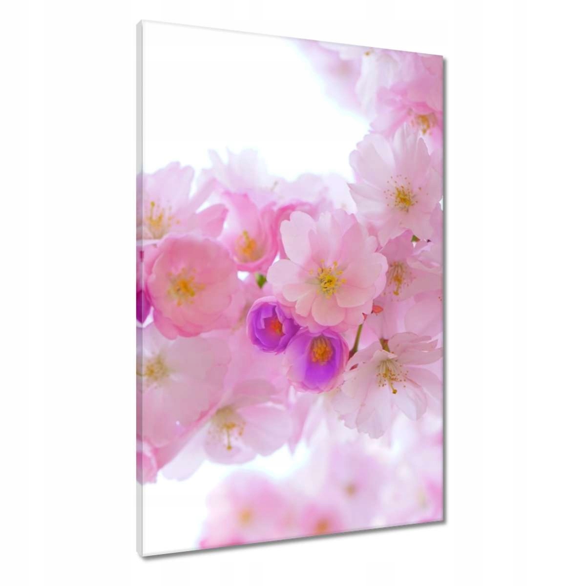 Obrazy 60x90 Větvička japonské třešně