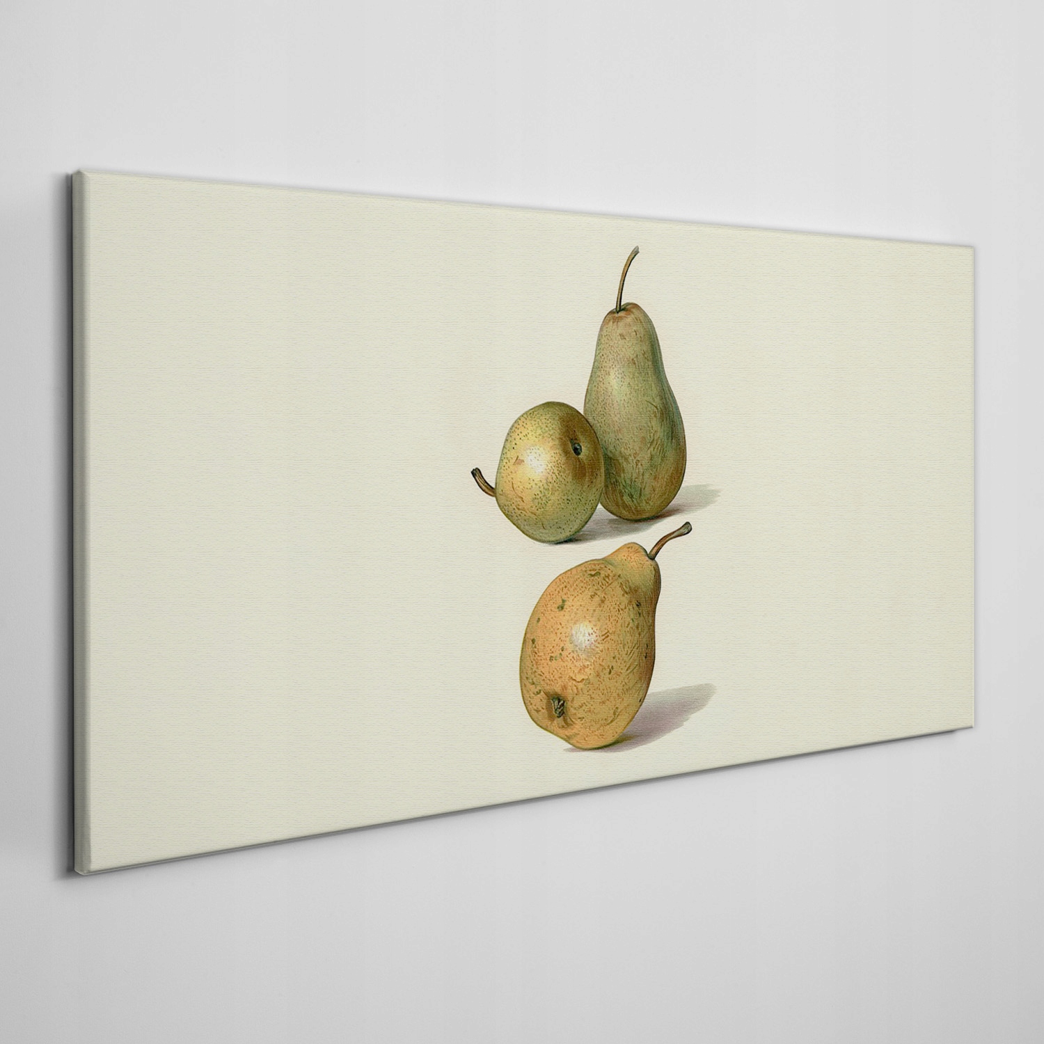 

Foto-obraz na ramie płótno Owoce gruszki 100x50 cm