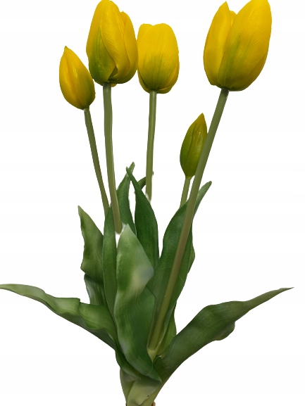 

Tulipan Tulipany Silikonowe Bukiet gumowe