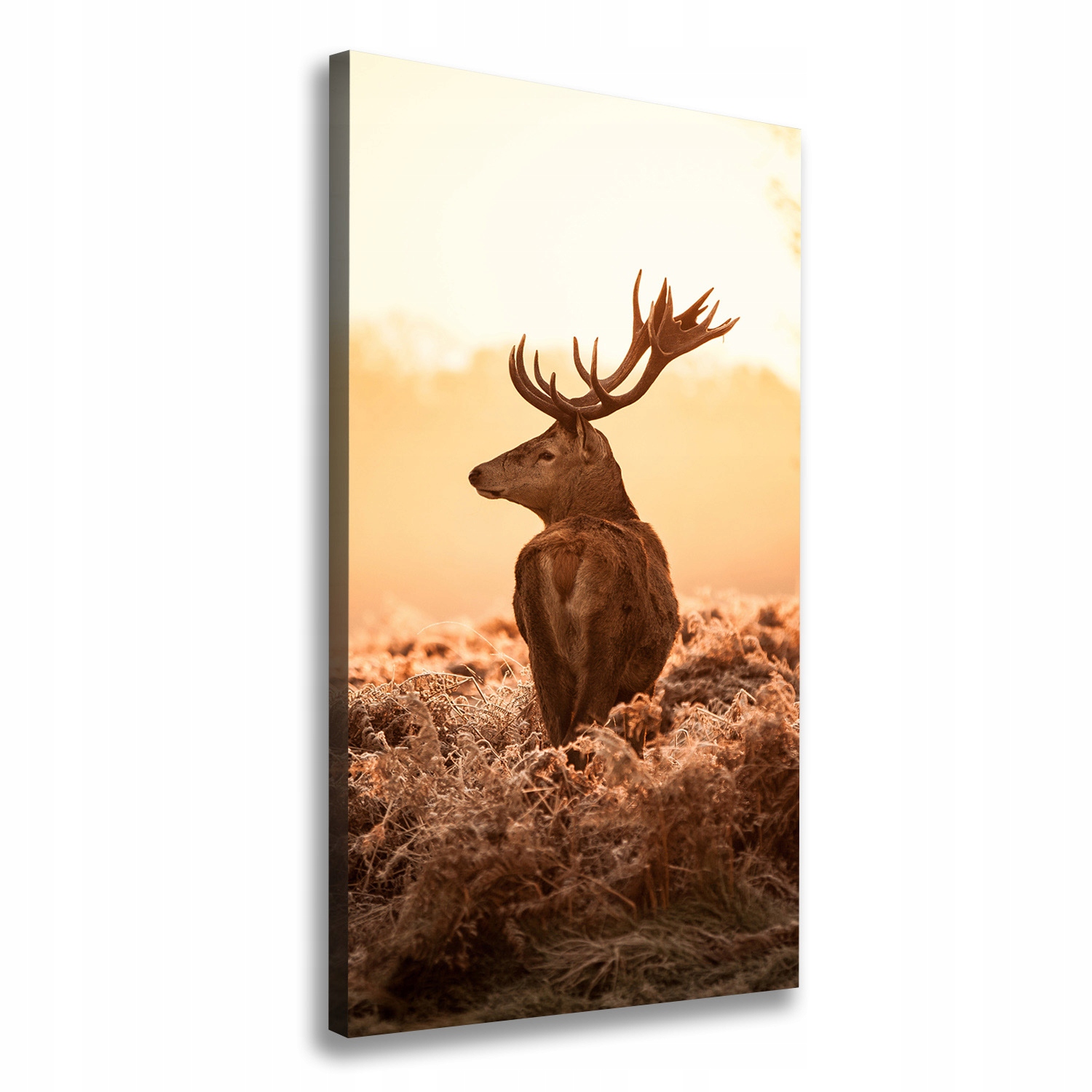 

Foto obraz na płótnie Jeleń wschód słońca 70x140cm