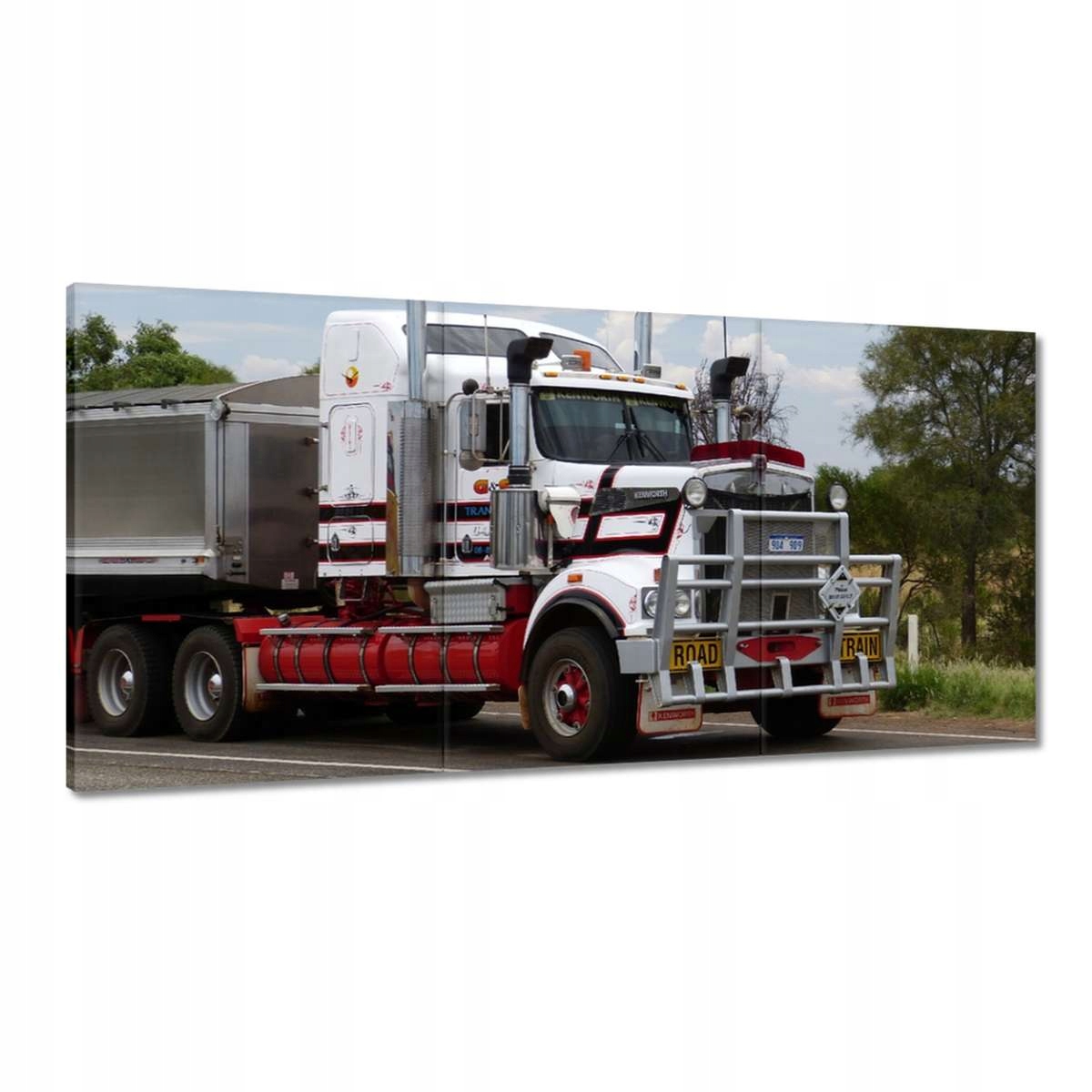 Obrazy 180x90 Road train