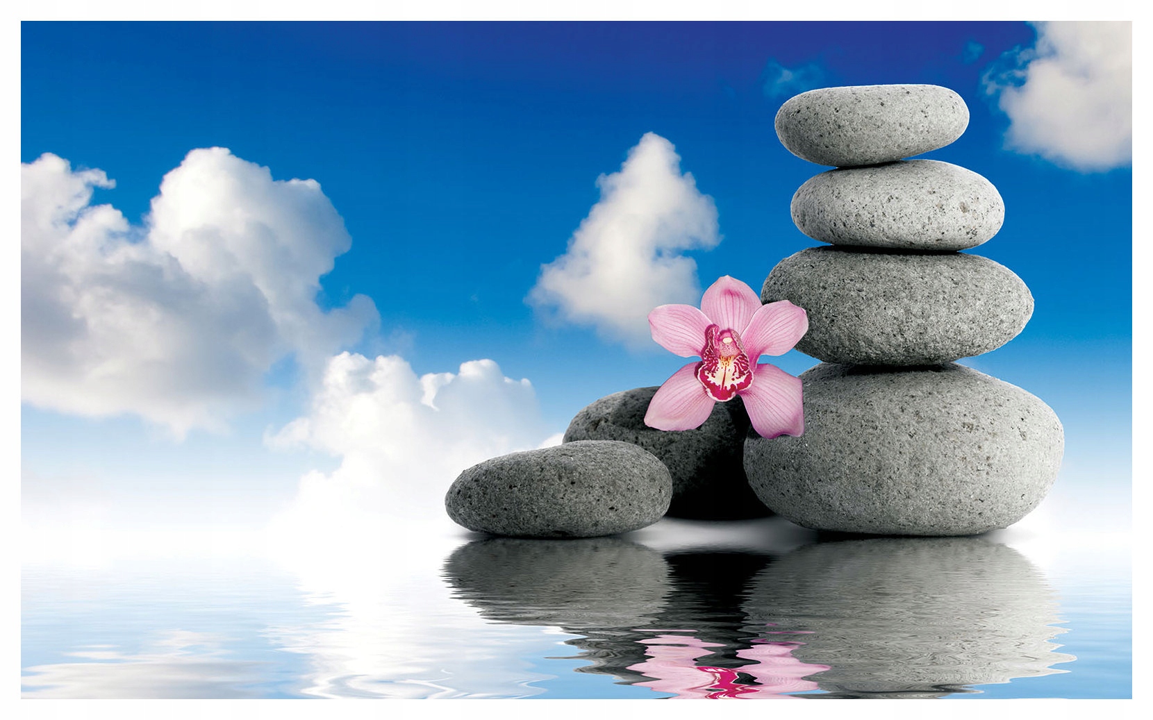 Fototapeta More kamene orchidea Relax a harmónia 300x210 lepidlo