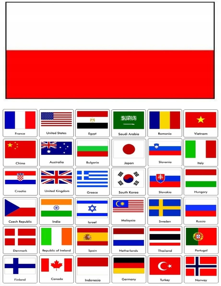 Translator Chipol Z3P z DARMOWYM internetem LTE, polskie menu Zawiera baterie tak