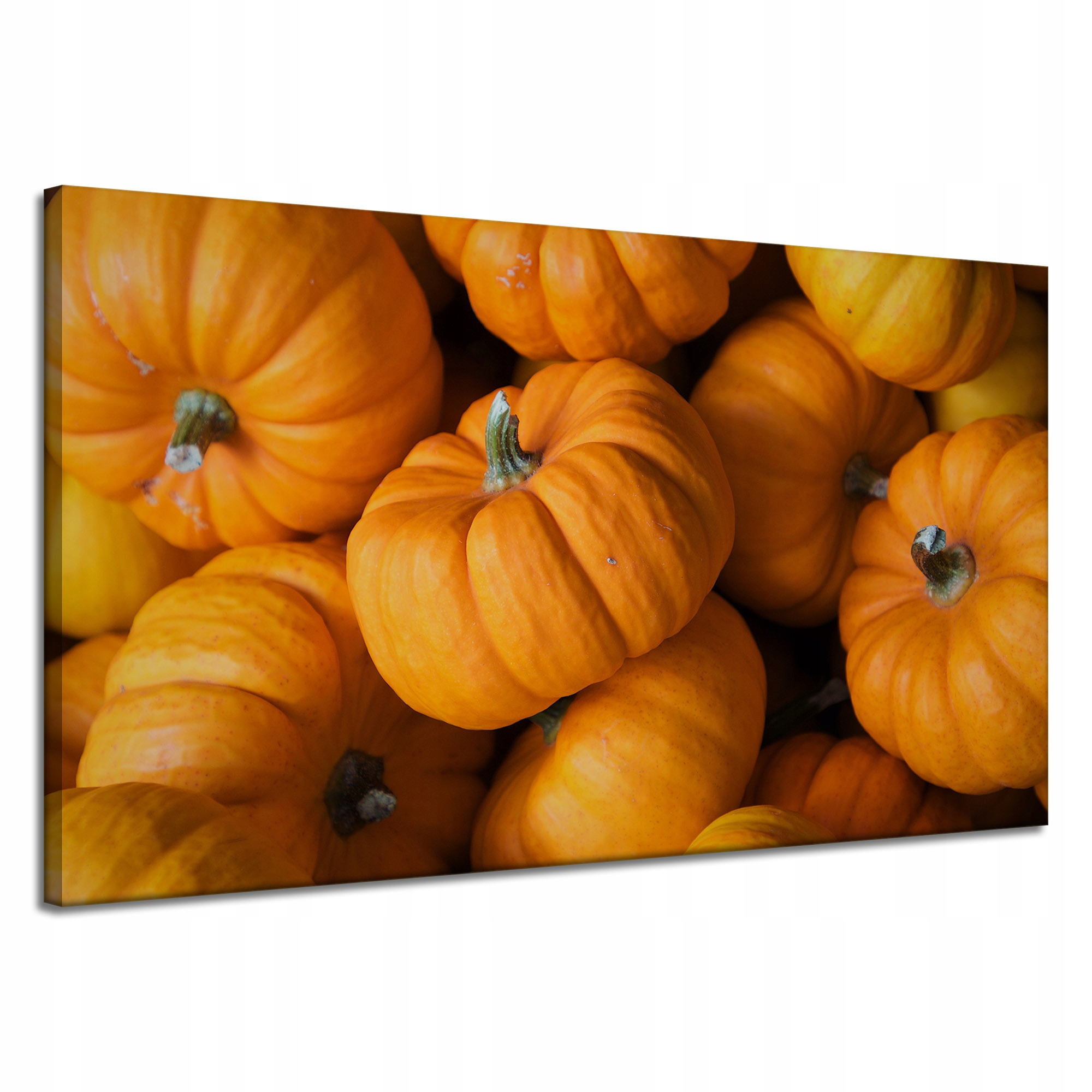 Obraz Canvas Kuchyně Dýně na plátně 120x70 cm