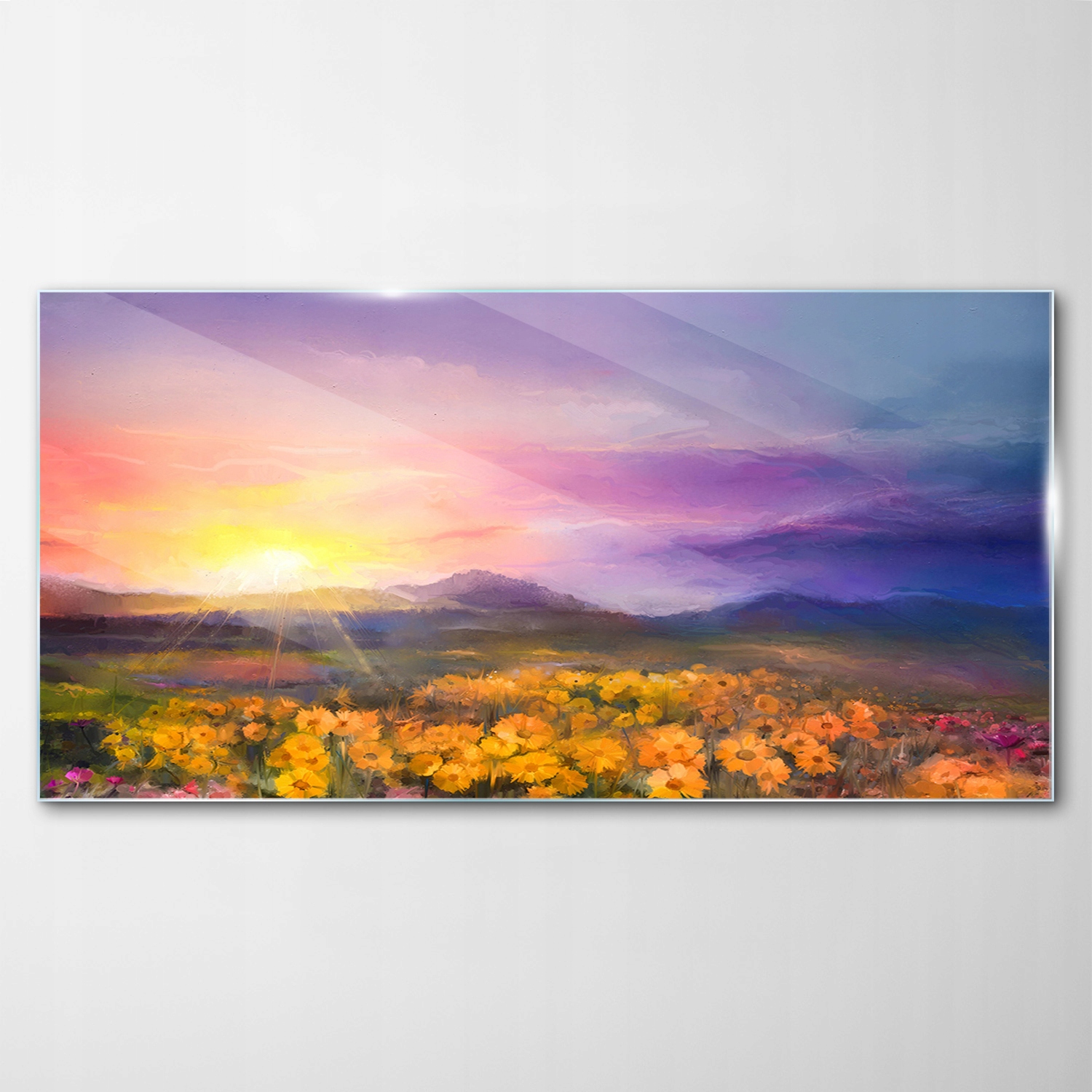 Obraz na skle Dekor Rastliny Sedmokrásky Lúka 100x50