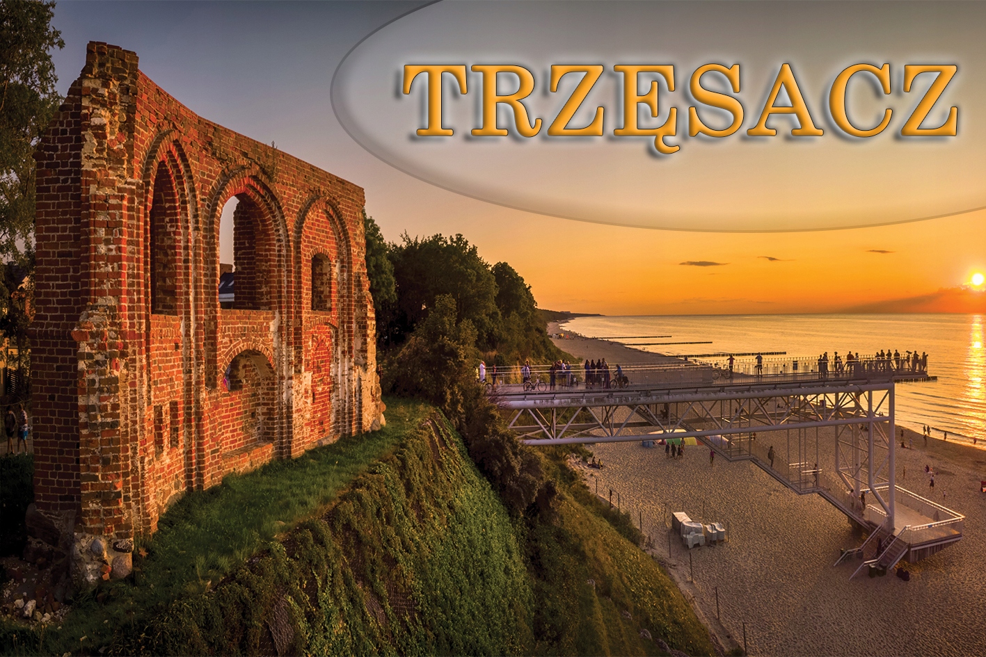 TRZĘSACZ - MAGNESY NA LODÓWKĘ