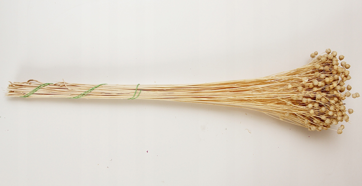 Len naturalny paczka susz Kod producenta 12