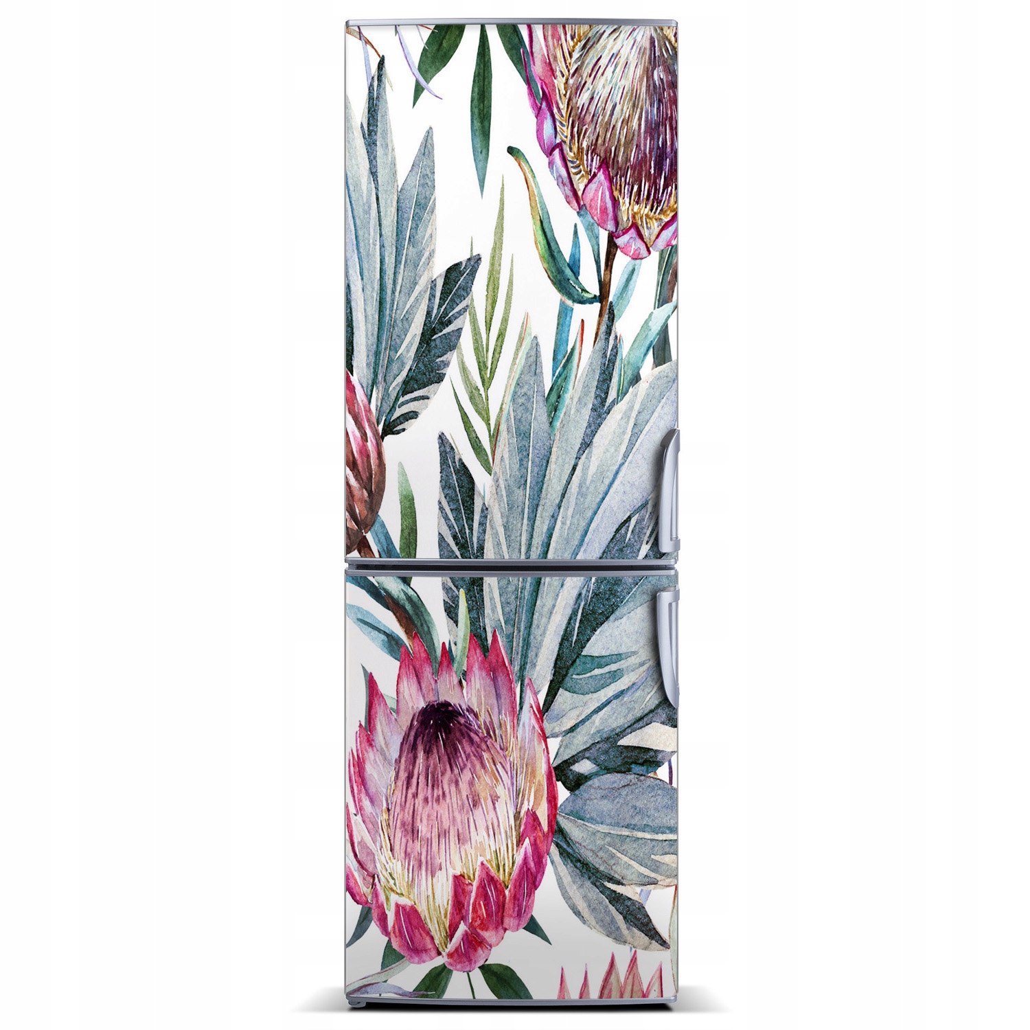 

Magnes Magnes fototapety na lodówkę Protea 60x180