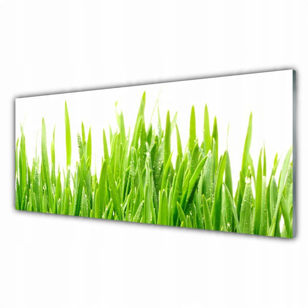 

Obraz akryl z grafiką 125x50 Trawa Roślina Natura