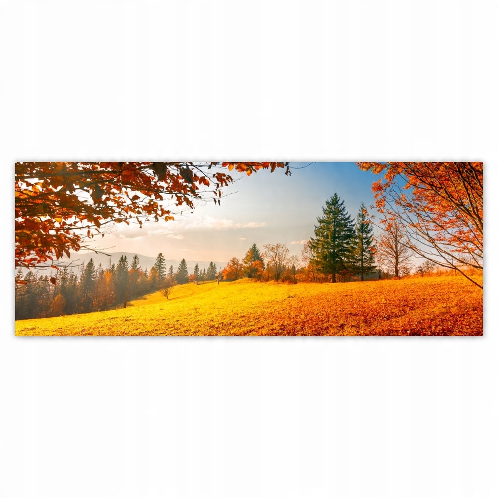 

Fototapety flizelina 250x93 Jesienny krajobraz