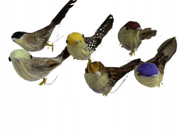 PTASZKI ZESTAW #1 KOLOROWE NA DRUCIKU PTASZEK 6szt