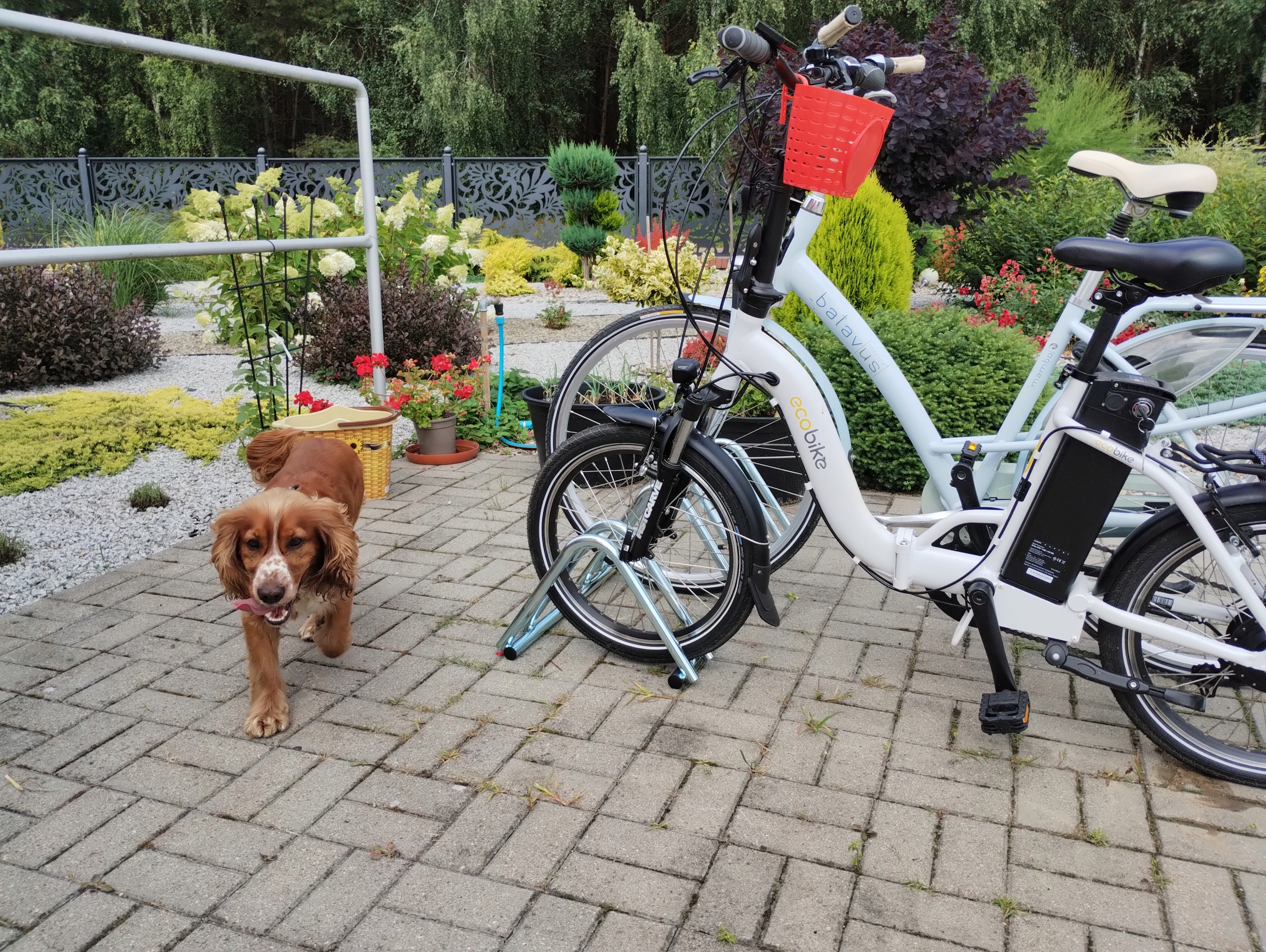 STOJAK NA ROWERY 2 ROWERY ROWER ROWEROWY PL PROMO Kolor dominujący czarny