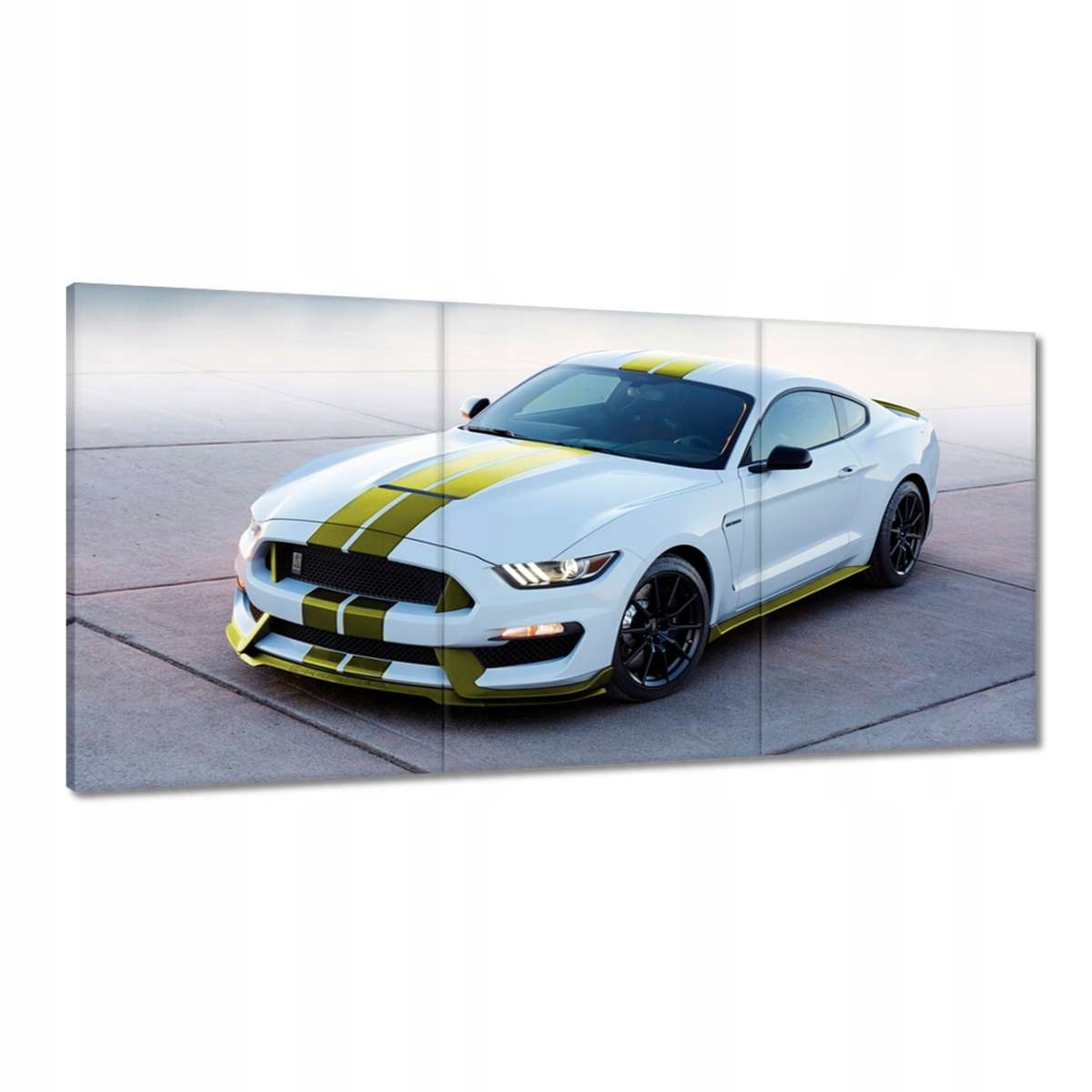 Obrazy 180x90 Mustang Ford Auto