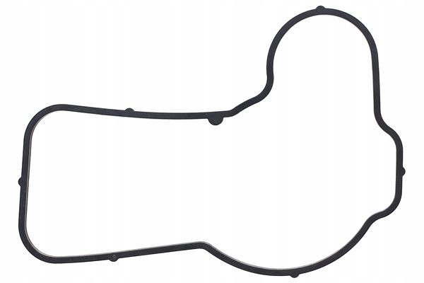 USZCZELKA TERMOSTATU PŁYNU CHŁODZĄCEGO PORSCHE CAYENNE 4.5 Numer katalogowy części 249.050