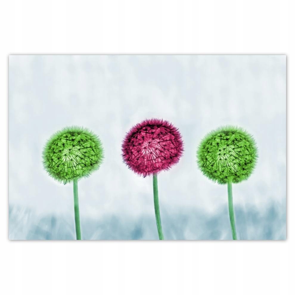 

Plakat 93x62 Kolorowe dmuchawce