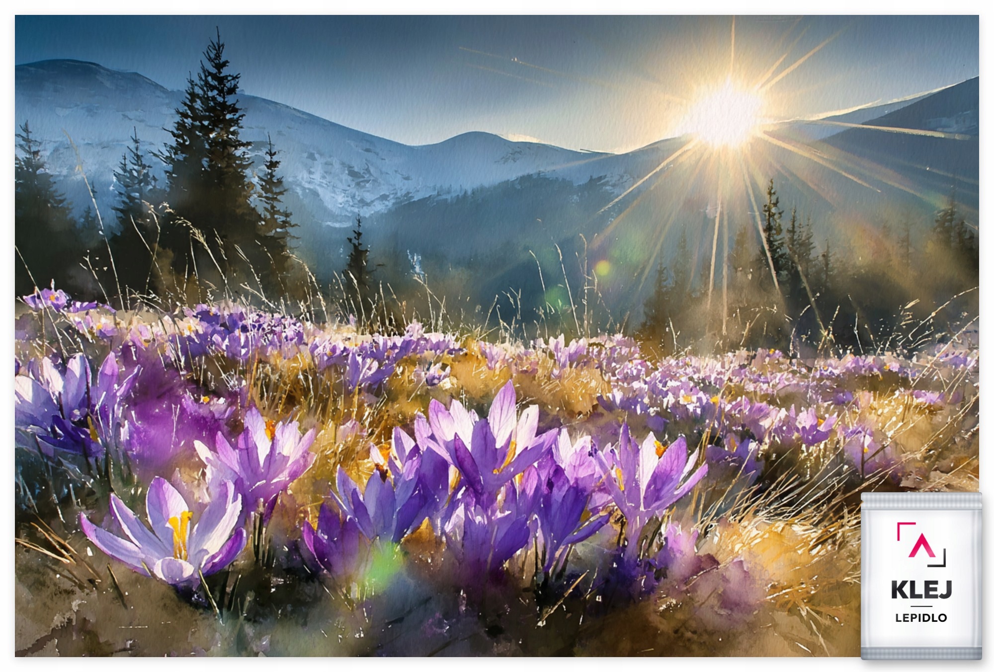 Fototapeta Flizelina Hory Polska Tatry Zakopane Krokusy 250x175 155g