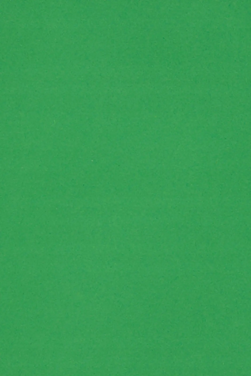 

Papier Burano 250g Verde Bandiera zielony 20A4