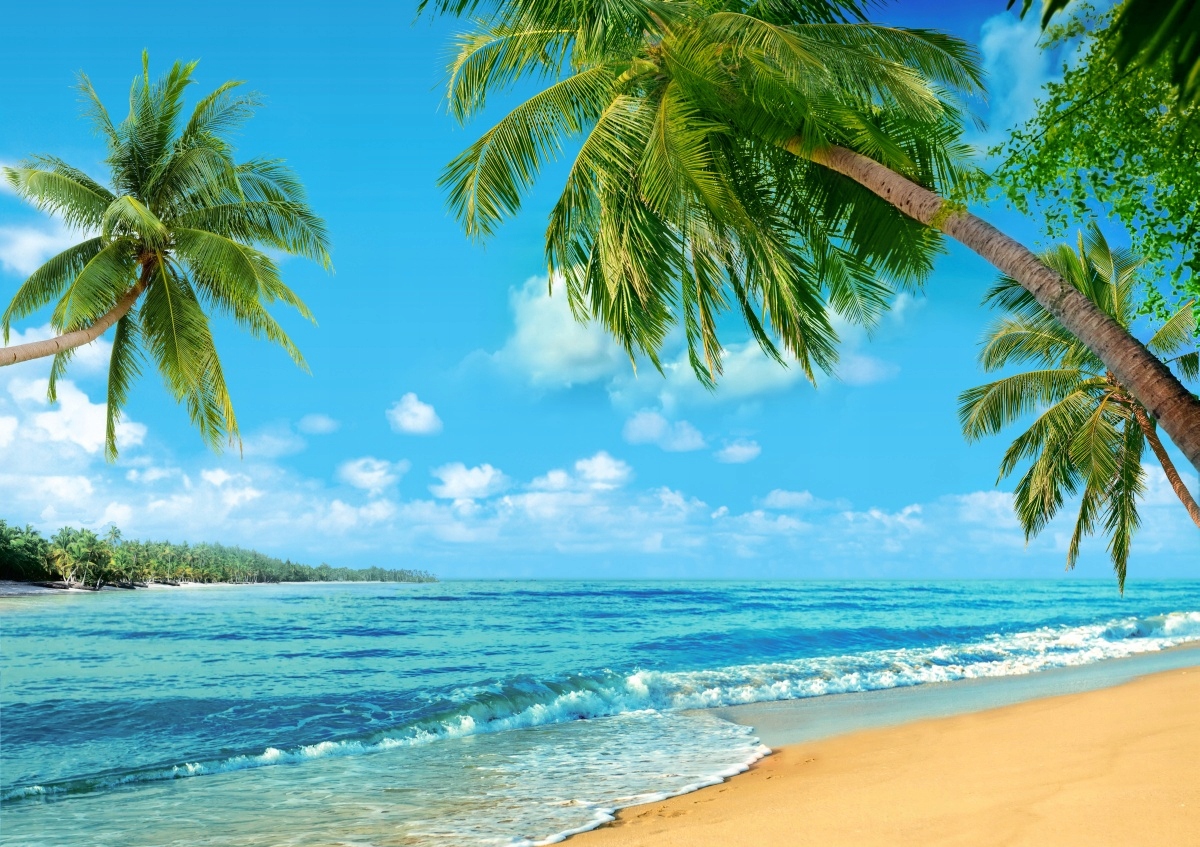 

Fototapeta Flizelinowa Plaża Ocean - 312x219