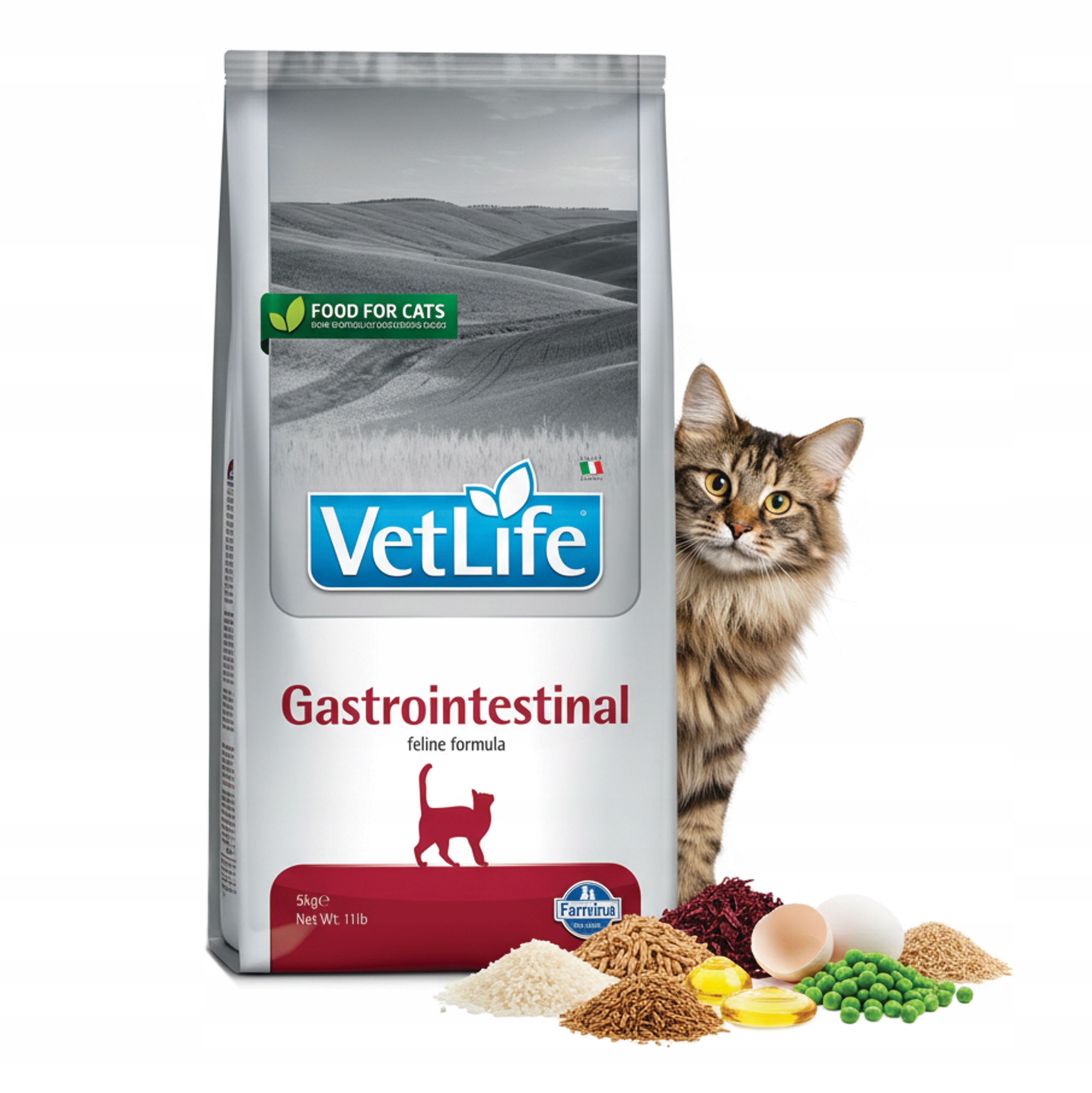 Farmina Vet Life Gastrointestinal 5kg sucha karma dla kota na jelita
