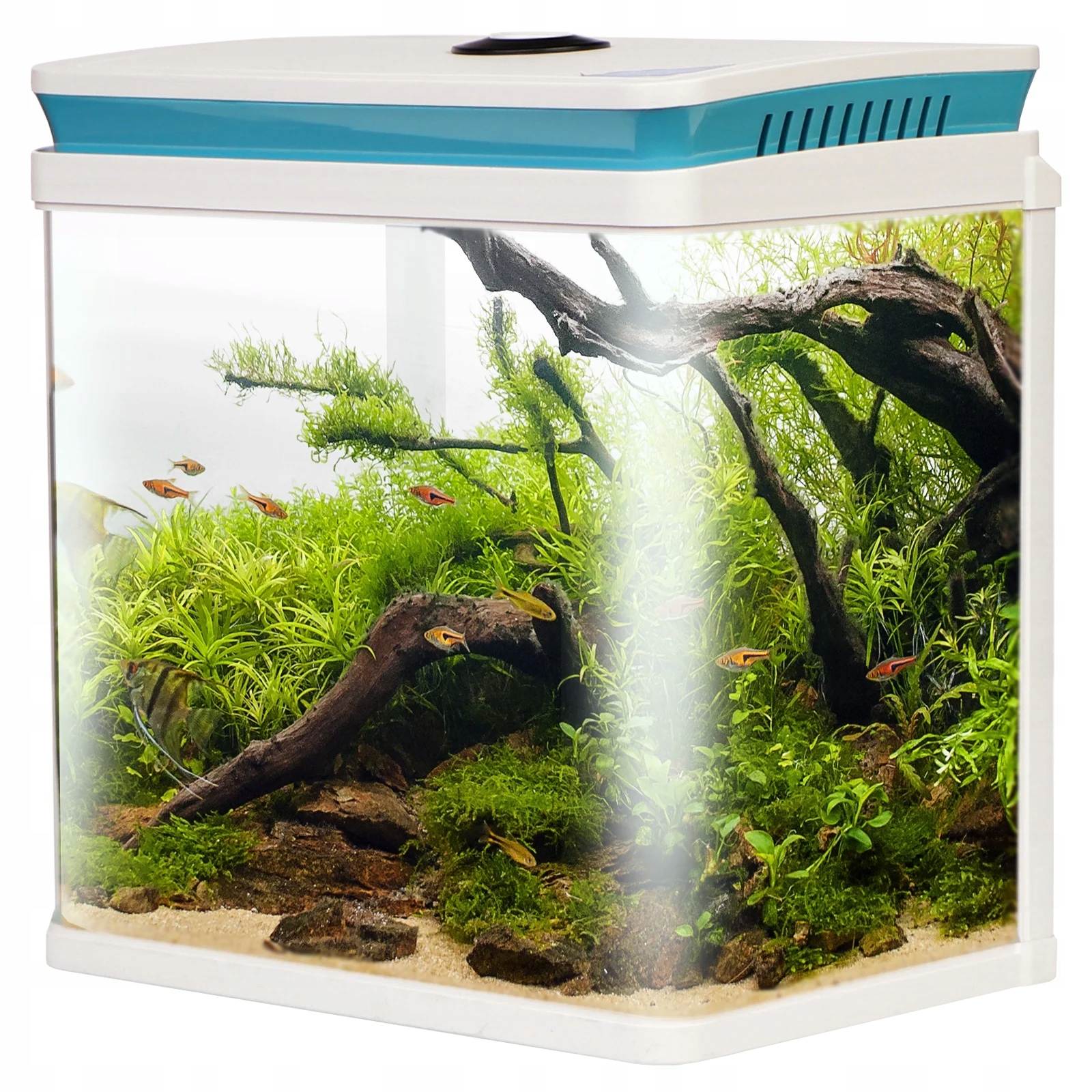 Kompletní Sada Akvária 14 L S Filtrem Led Osvětlením A Víkem, Bílá