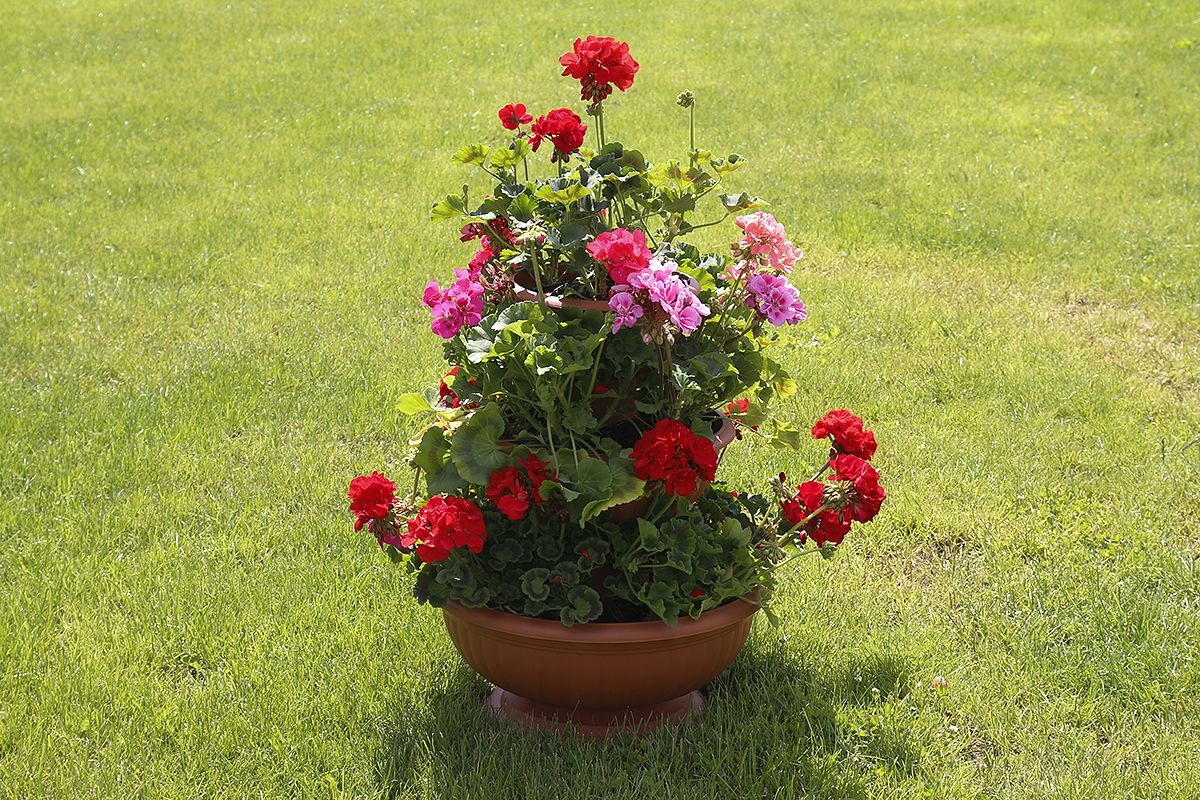 KWIETNIK STOJĄCY DONICZKA KASKADA kwiatowa TARAS MISA 3-PIĘTROWA 3 poziomy Marka inna