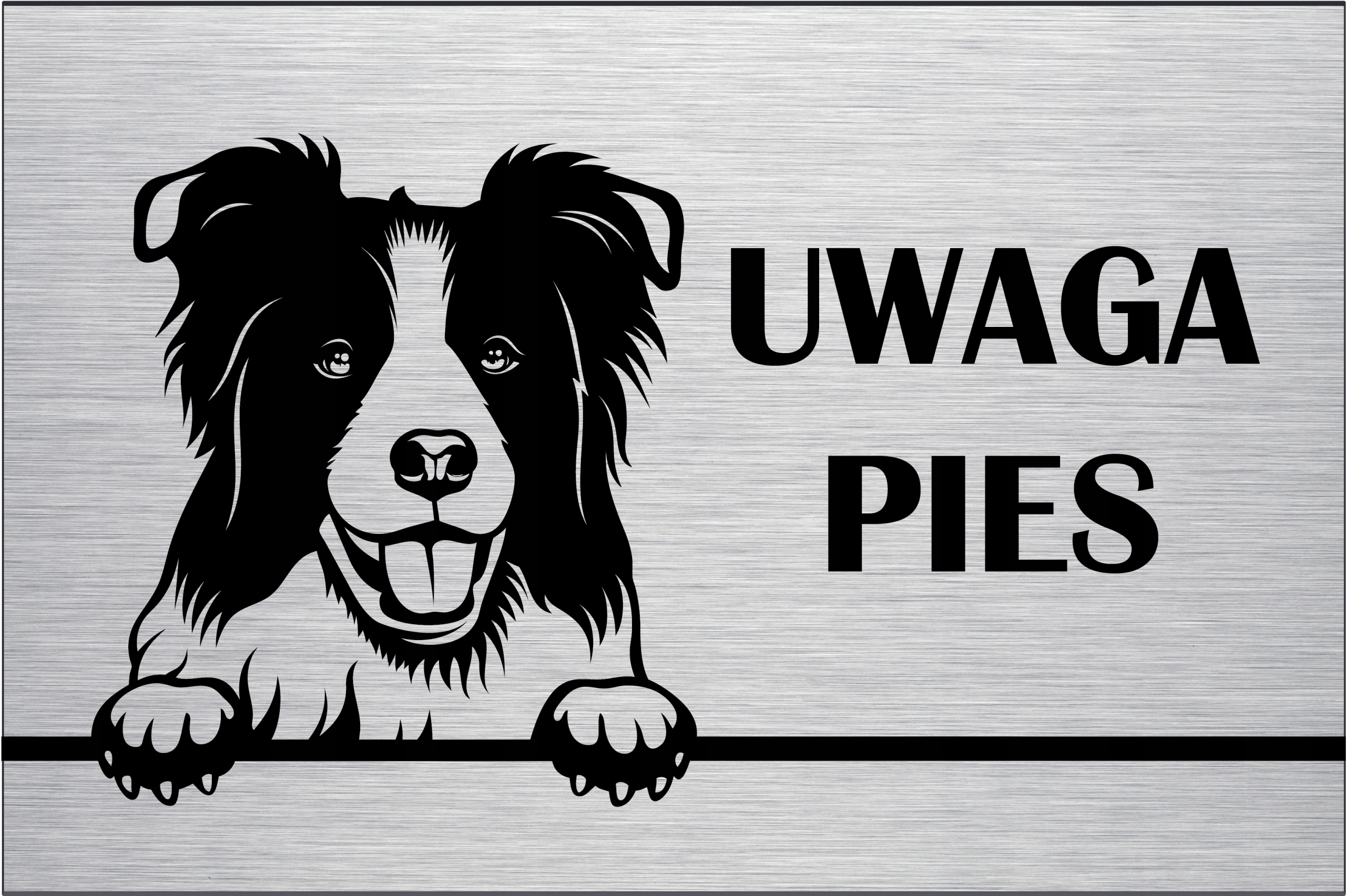 

Tabliczka Uwaga Pies Border Collie 30x20 Uv
