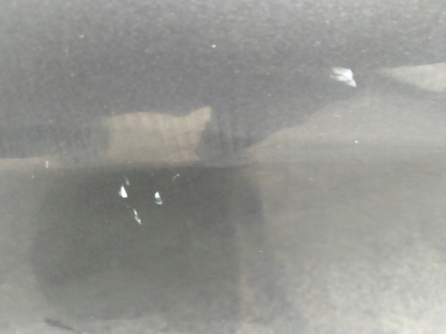 Tür rechts heck BE Kia Sportage III (2010-2015)