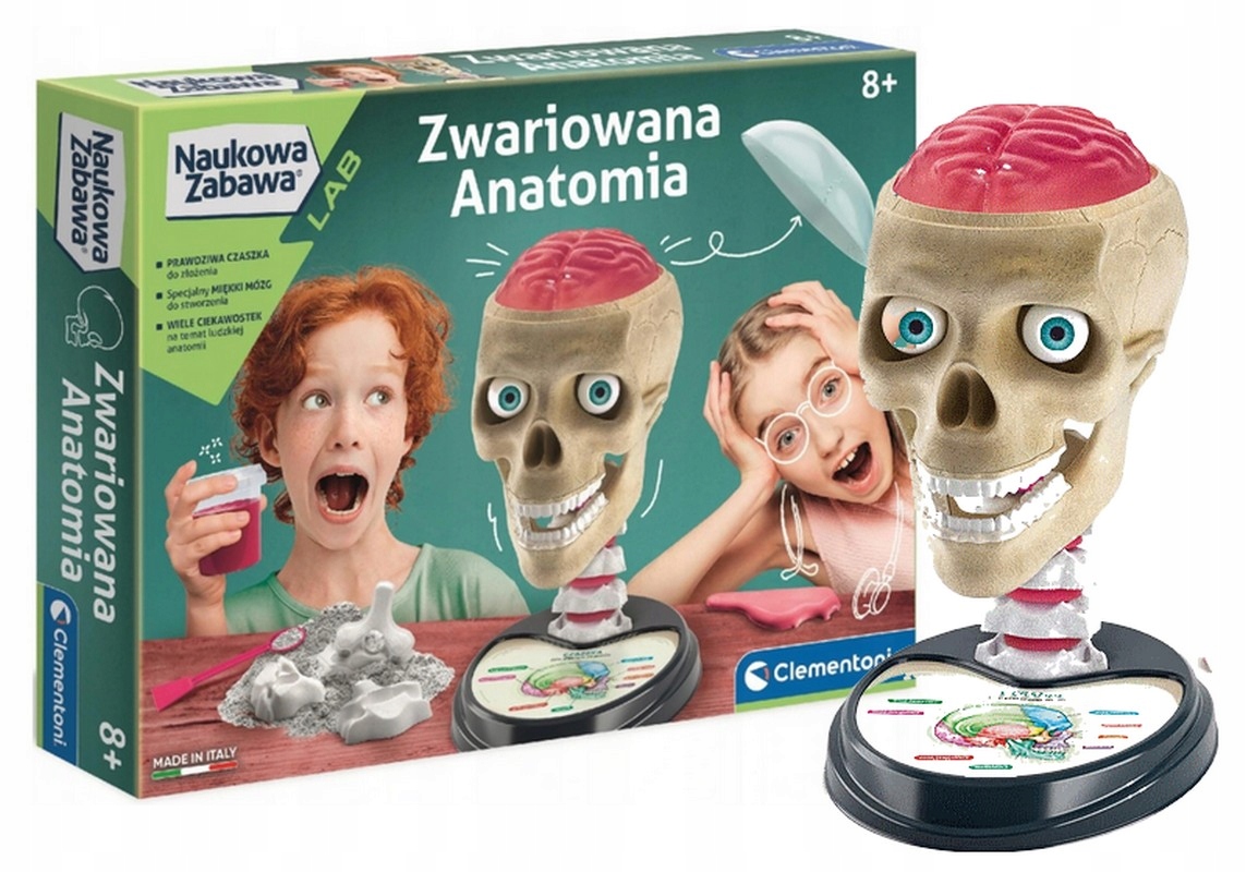 

Naukowa Zabawa Zwariowana Anatomia 50697