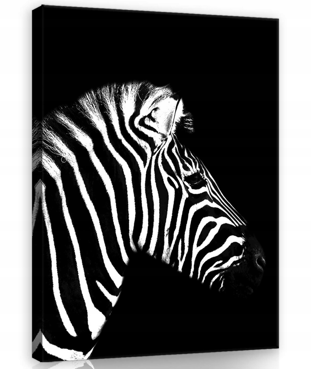 Obraz Na Plátně Canvas 60x80 Zebra Portrét