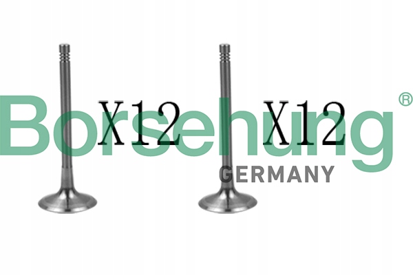 B18638 - ВСМОКТУЮЧИЙ КЛАПАН BORSEHUNG 06E109601H / KPL