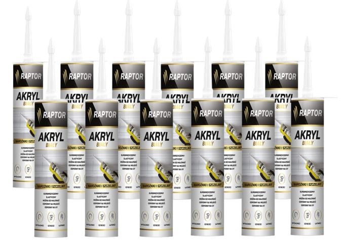 12 x univerzální akryl Bílý vnější i vnitřní rychleschnoucí Raptor