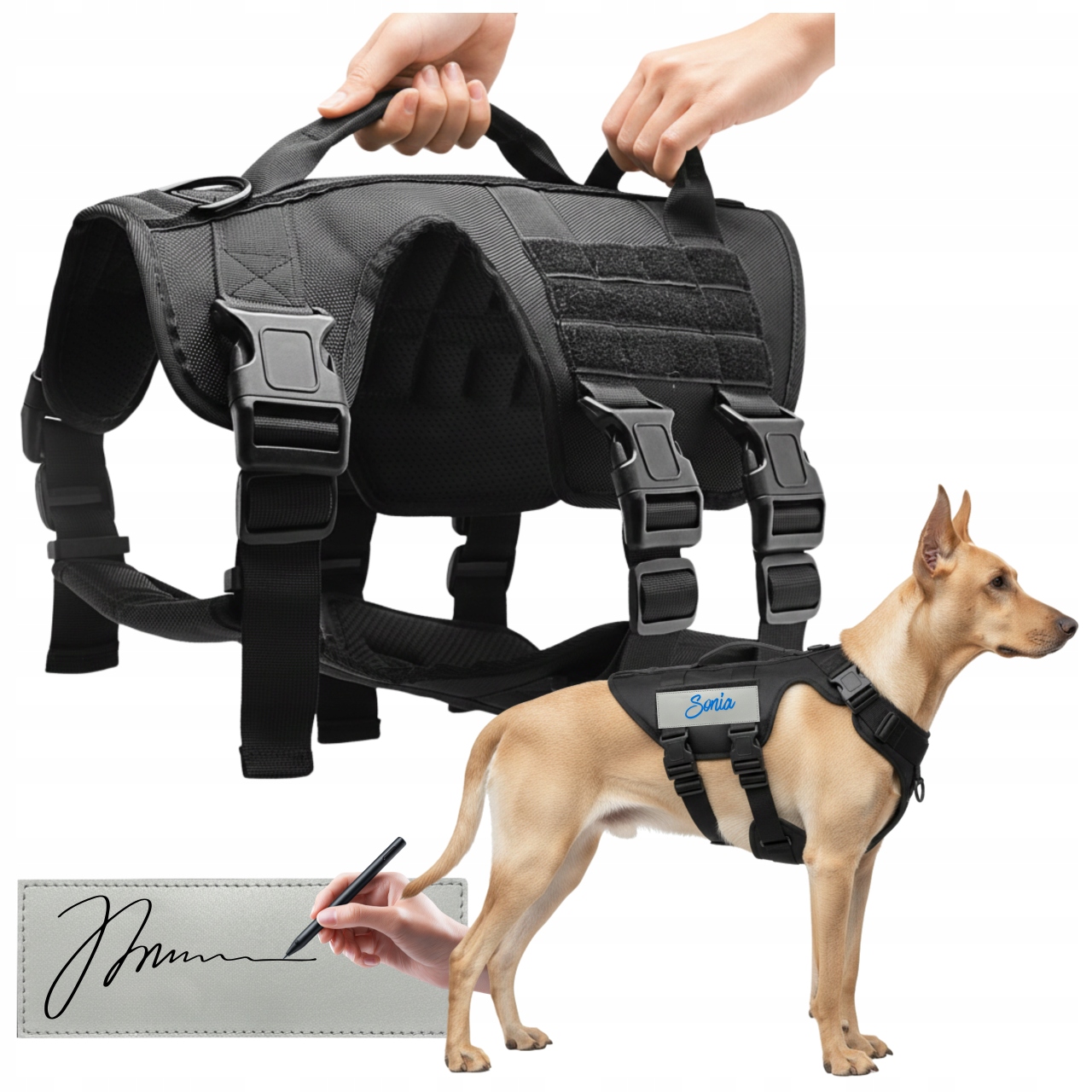 Levně Procházkové postroje pro psa s držadly, nastavitelné, pohodlné, L, prémiový postroj L