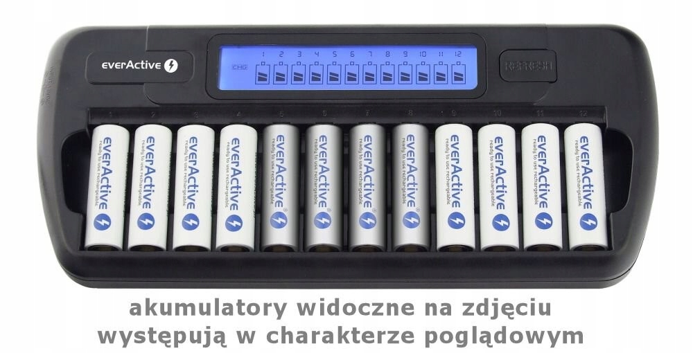 Everactive Ładowarka procesorowa NC-1200 do 12