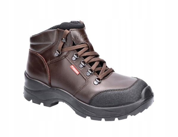 

Wald Trzewiki 42 Demar