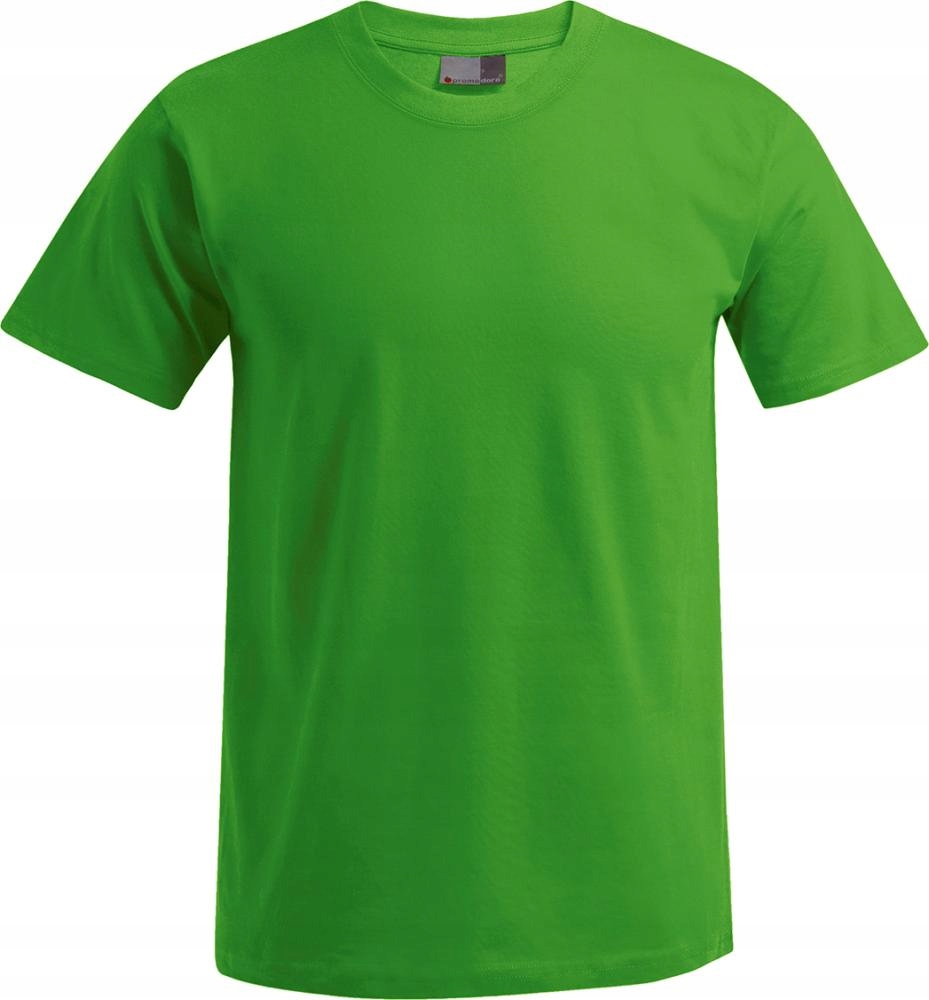 

T-shirt bawełniany koszulka męska L zielony