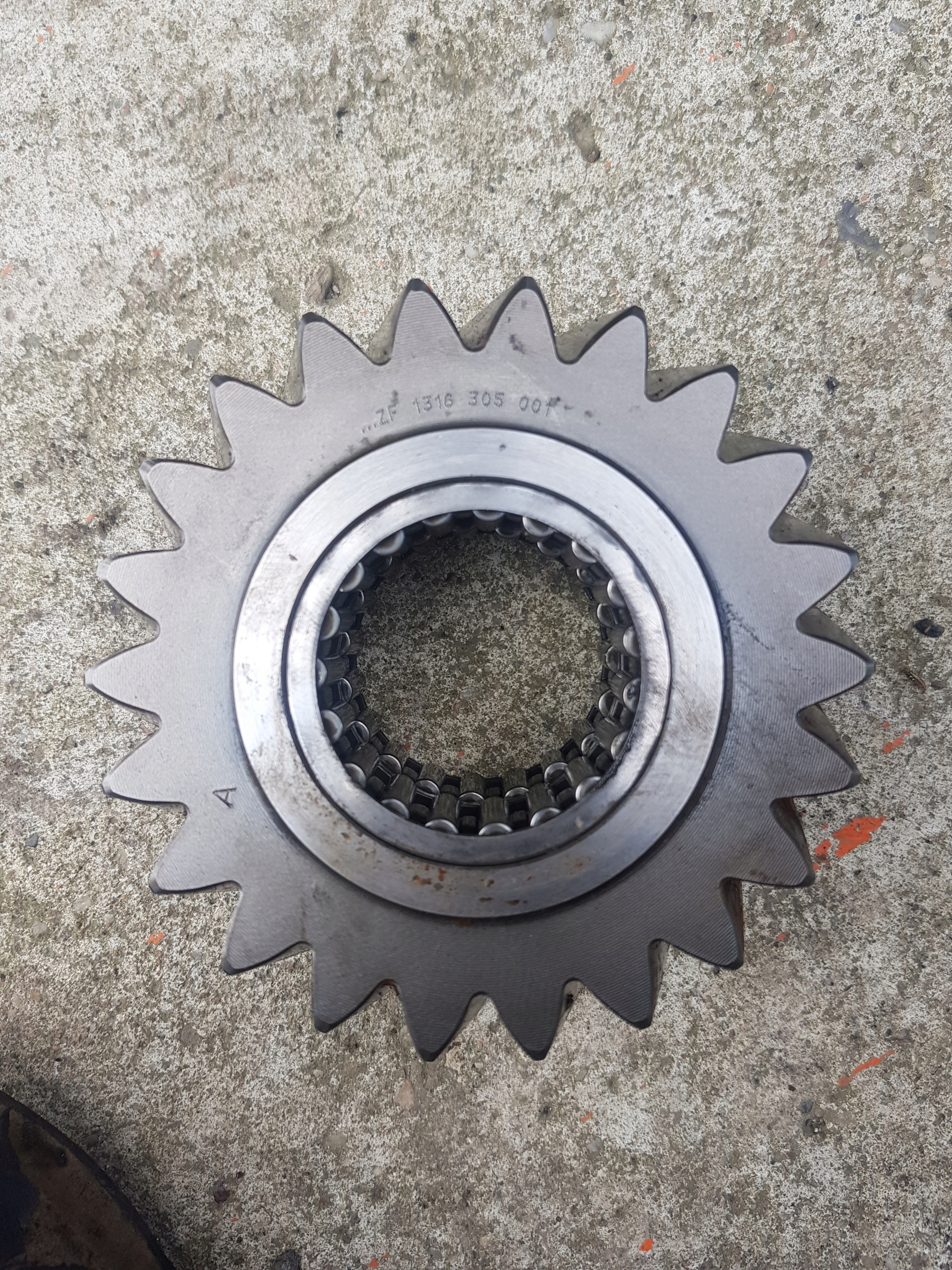 Man ZF koło zębate 1316305001