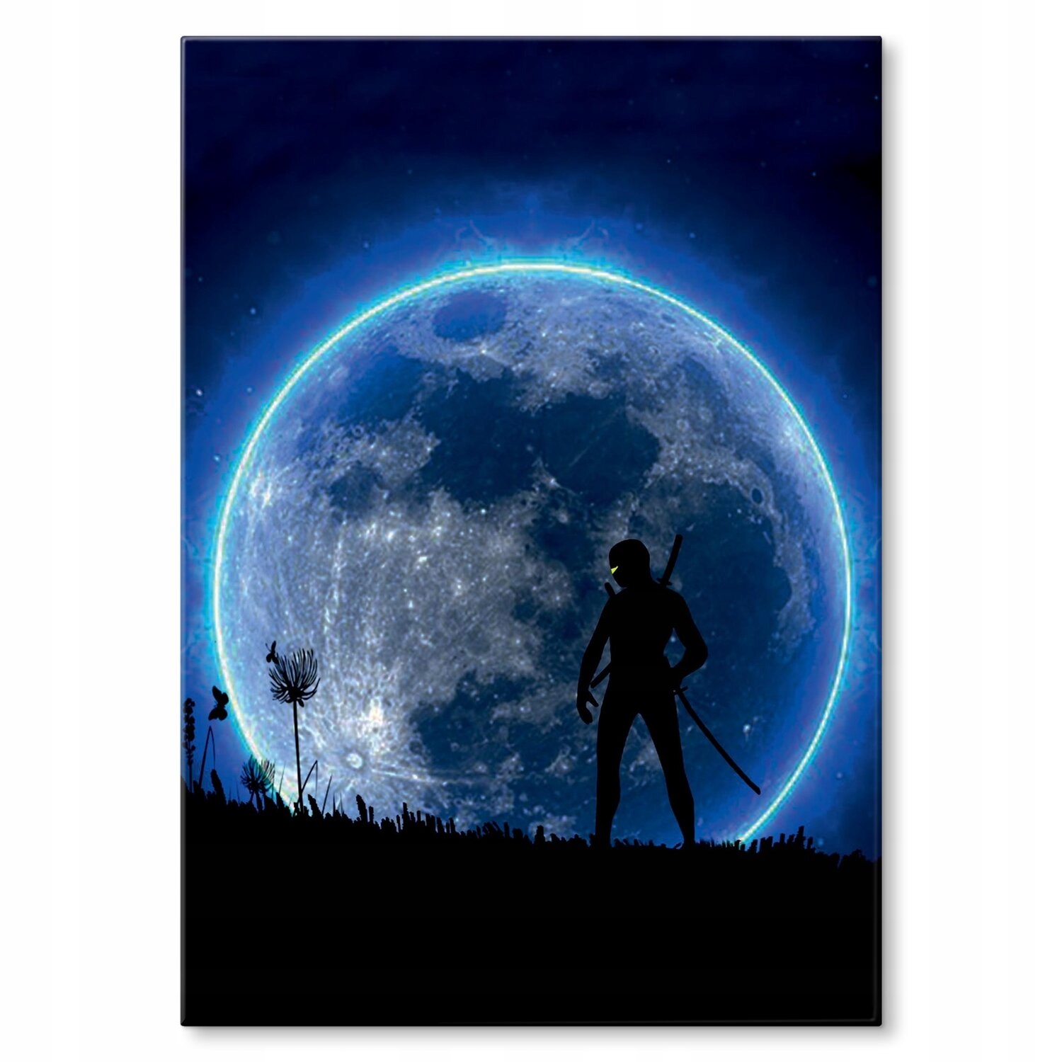 Kovový plakát Ninja Szyld Plech 30 x 42 cm Dárek