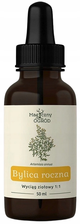 

Bylica roczna Artemisia annua nalewka 1:1 50ml