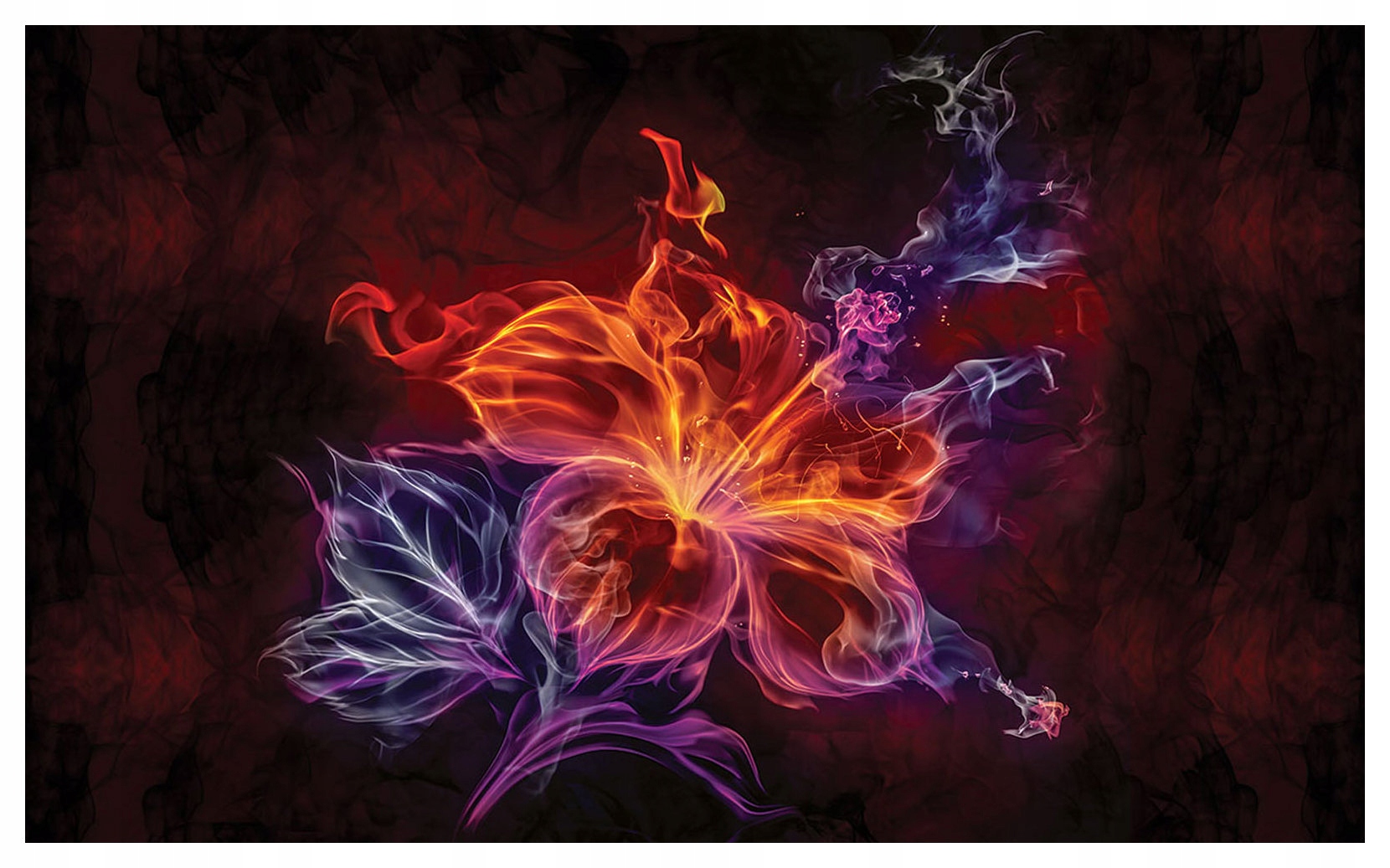 Fototapeta Květinový lesk Abstrakce světla a stínu Akcent 200x140 lepidlo