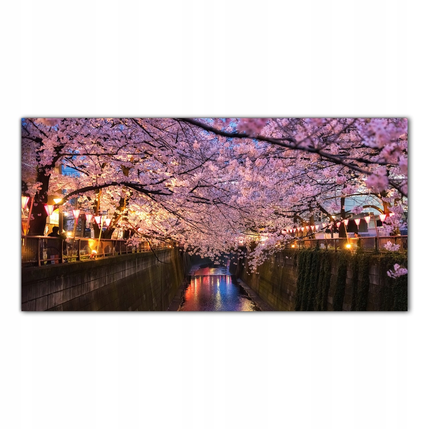 

Obraz na szkle Foto Wiśnia Japonia Kwiaty 140x70