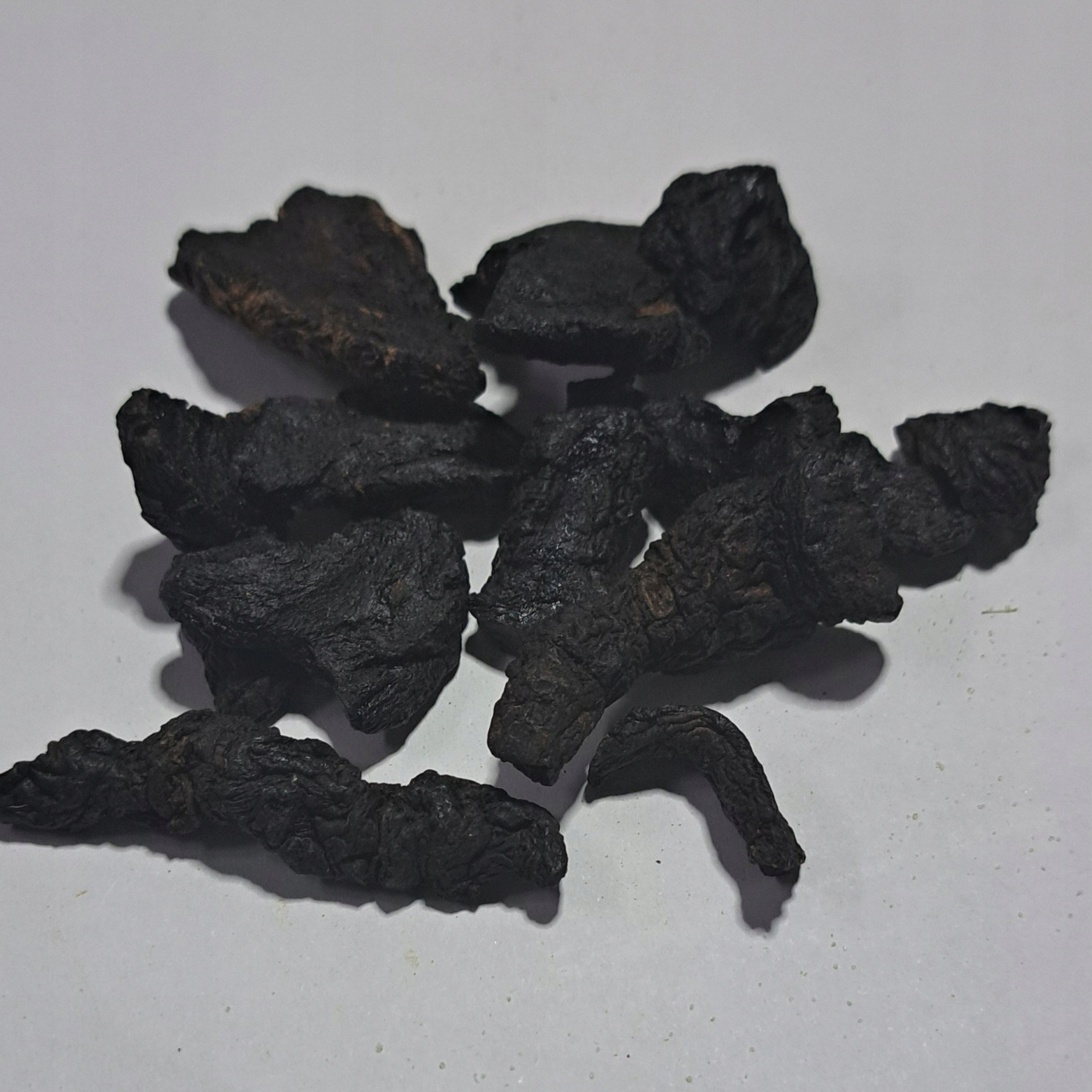 Levně Rehmannia glutinosa 1 kg Rafex