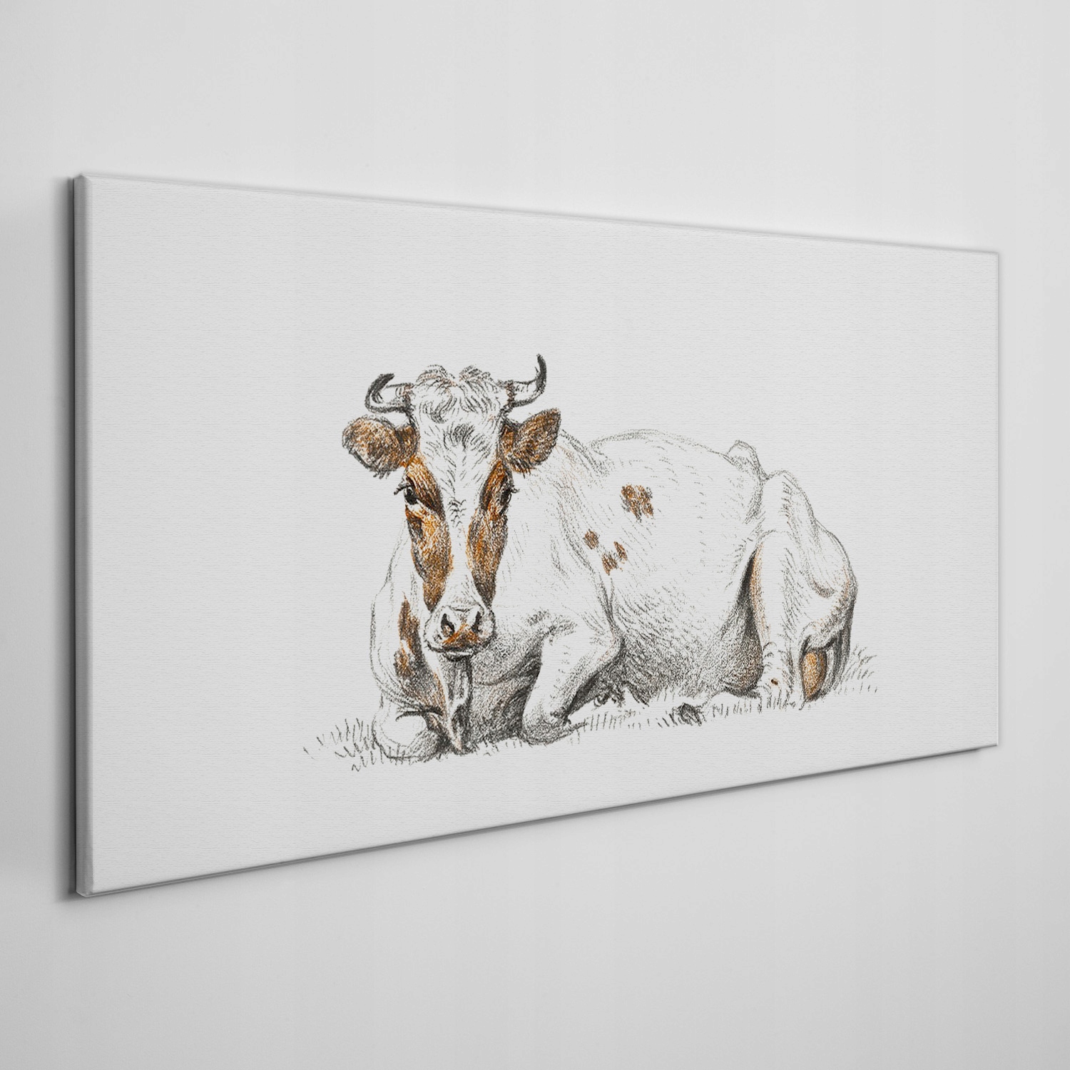 

Foto-obraz na ramie płótno Zwierzę krowa 120x60 cm