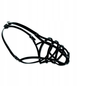 

Dingo Kaganiec skórzany nitowany nr 12 collie