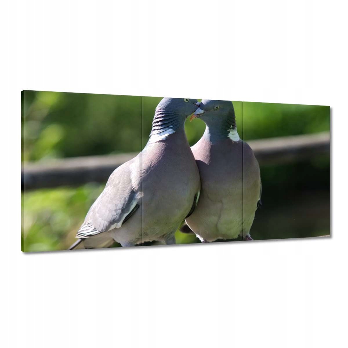 Obrazy 180x90 Láska Pocit Vzťah