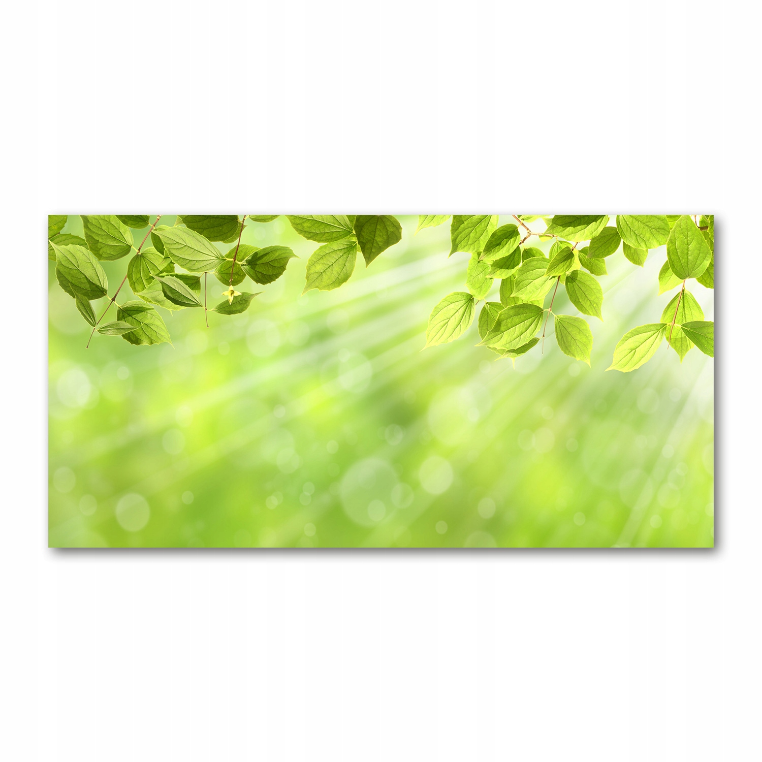 

Fotoobraz akryl nowoczesny na ścianę Liście 120X60