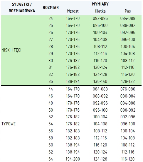 Spodnie robocze do pracy BHP BRIXTON stal ROZ. 25 Rozmiar 25