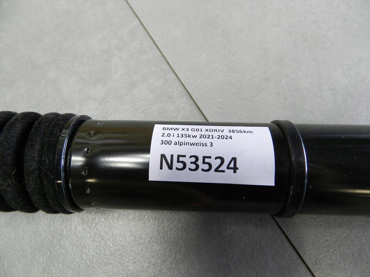 BMW X3 G01 damper telescope bonnet 182022 9482795