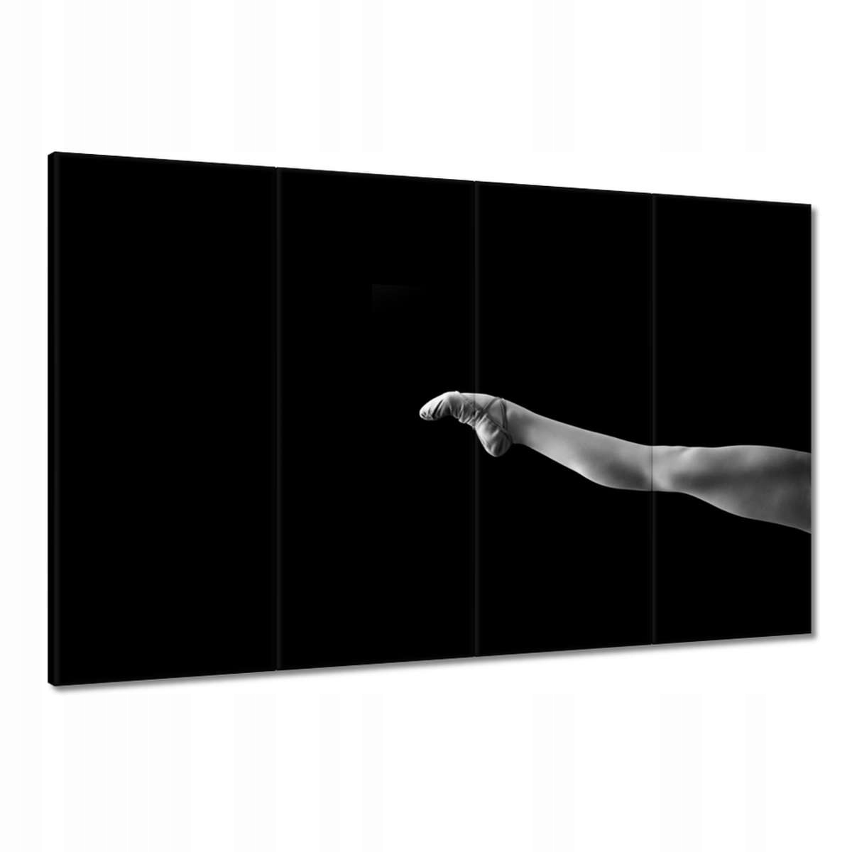 Obrazy 120x80 Baletka