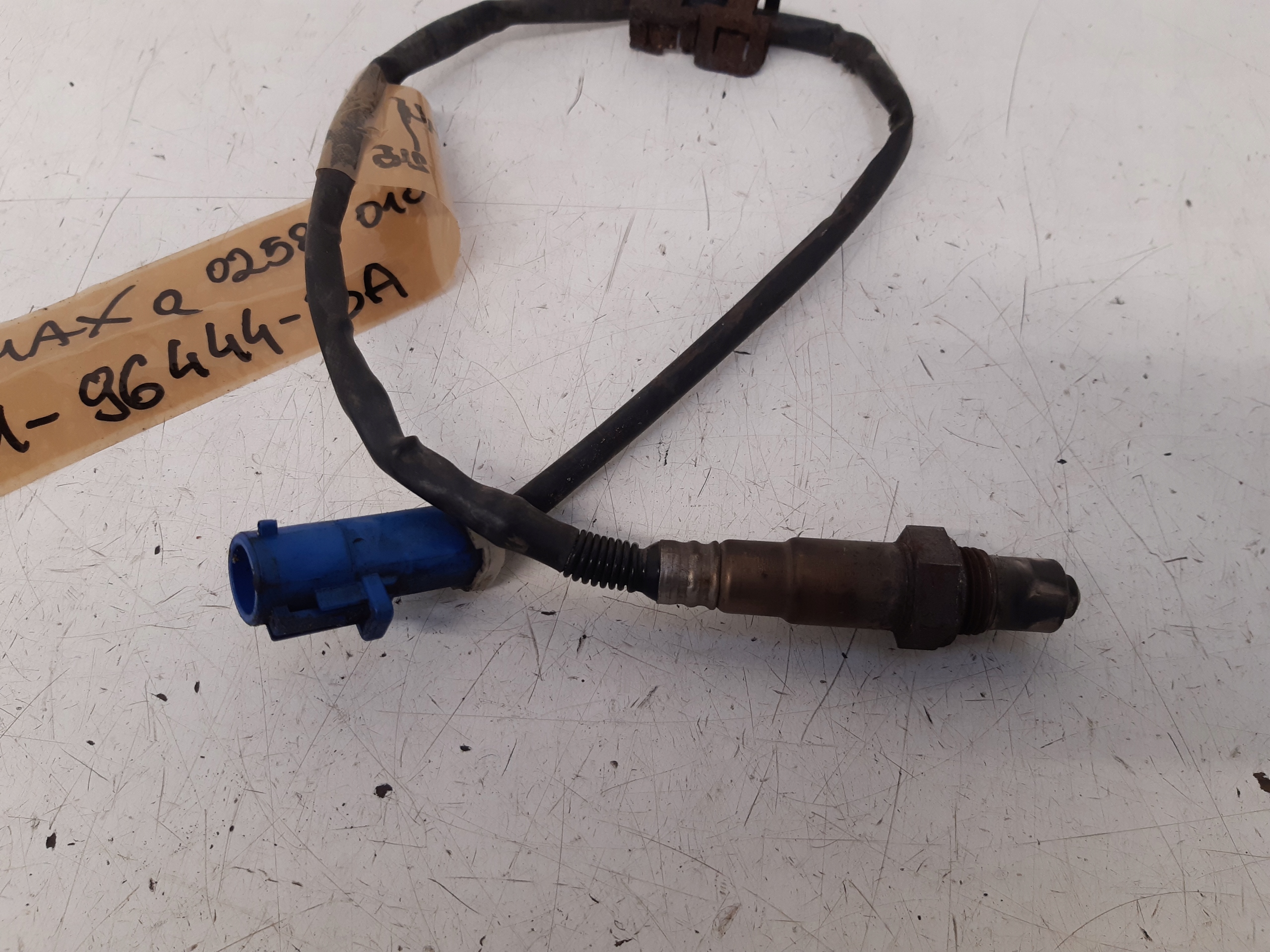 Sonda BV6196444BA Ford C-MAX