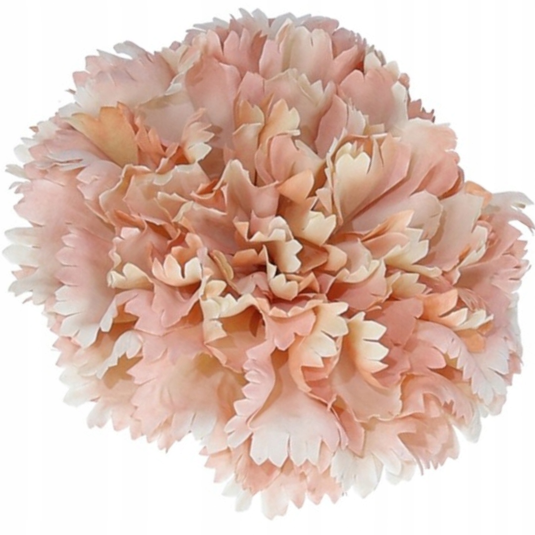 

[w04120] Główka duża goździk łososiowo-różowy 11cm